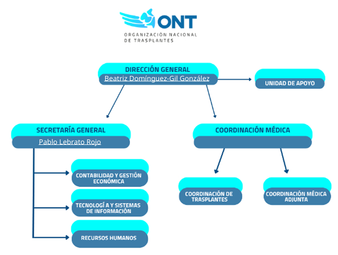 Organigrama de la ONT